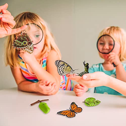 Cobee Insect Figurines Life Cycle of Butterflies Growth Model, 4 Pcs Preschool Learning Teaching Insect Growth Cycle Model Toy Realistic Animal Figures Insect Education Growth Stage Model Props