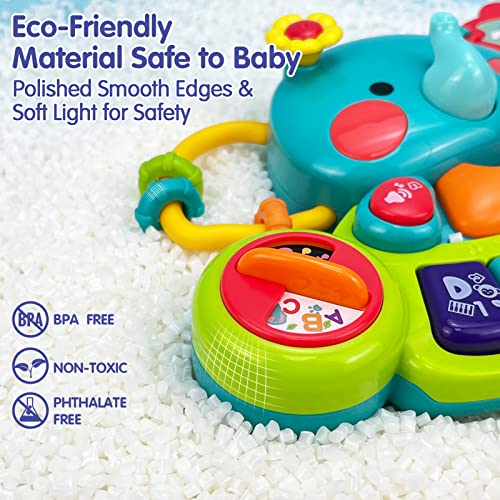 HOLA Baby Toys 6 Months Plus, Toys of Baby 12 Months, Musical Elephant Baby Piano Toys 6 12 18 Months, Interactive Early Learning Toys for 1 Year Old Girls Boys Gifts