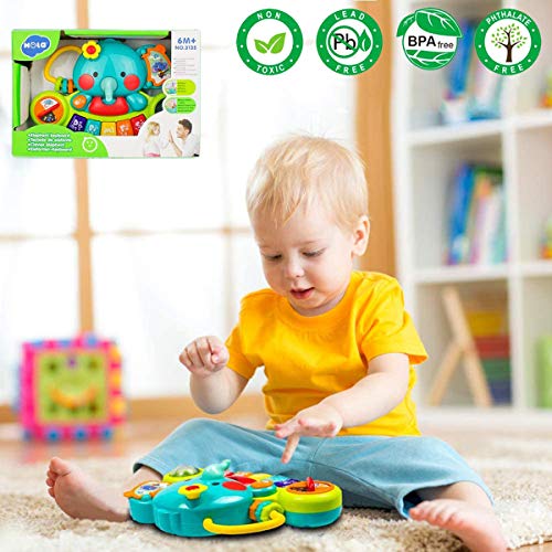 HOLA Baby Toys 6 Months Plus, Toys of Baby 12 Months, Musical Elephant Baby Piano Toys 6 12 18 Months, Interactive Early Learning Toys for 1 Year Old Girls Boys Gifts
