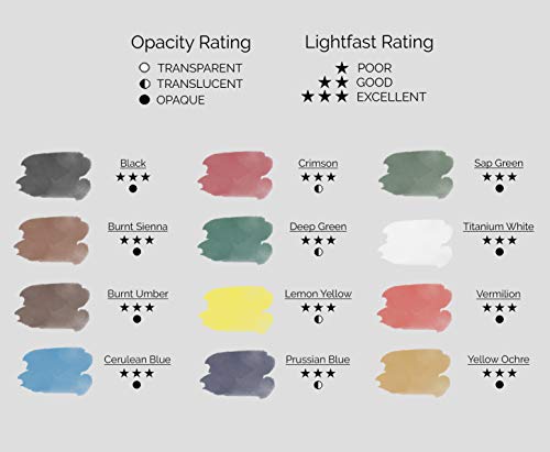 MyArtscape Watercolor Paint Set - 12 x 12ml Tubes - Lightfast - Highly Pigmented - Vibrant Colors - Fade Proof - Painting Kit for Adults & Hobby Painters - Professional Watercolors Supplies