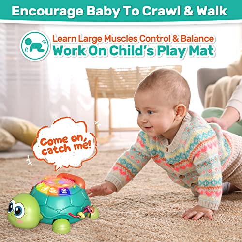 cute stone Baby Learning Toy Musical Turtle Toy with Lights & Sounds, Early Educational Developmental Toys, Pretend Phone Call, Crawling Baby Toy for 6-12 Months Infants Toddlers, Gift for Boys Girls