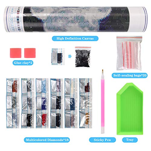 NASHRIO 5D Diamond Painting Kits for Kids, Round Diamond Art Kits Adults, DIY Full Drill Diamond Painting for Home Decor, Gifts. (Canvas Size: 40cm x 30cm)