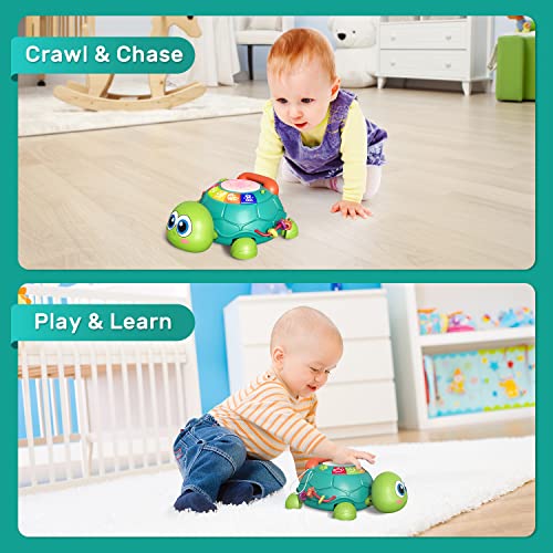 cute stone Baby Learning Toy Musical Turtle Toy with Lights & Sounds, Early Educational Developmental Toys, Pretend Phone Call, Crawling Baby Toy for 6-12 Months Infants Toddlers, Gift for Boys Girls
