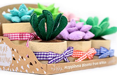 Felt Succulents Craft Kit. Make 6 Potted Colorful Plushies & A Display Rack. Mini Garden DIY Sewing Project, Activity Set, Arts & Crafts Supplies - Great Gift for Teens and Adults