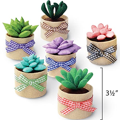 Felt Succulents Craft Kit. Make 6 Potted Colorful Plushies & A Display Rack. Mini Garden DIY Sewing Project, Activity Set, Arts & Crafts Supplies - Great Gift for Teens and Adults