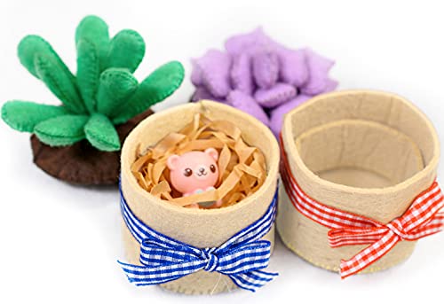 Felt Succulents Craft Kit. Make 6 Potted Colorful Plushies & A Display Rack. Mini Garden DIY Sewing Project, Activity Set, Arts & Crafts Supplies - Great Gift for Teens and Adults