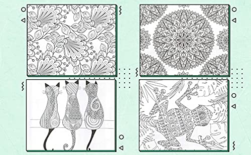 Styloo Adult Colouring Books, Set of 3 Books, 180 Designs – Animal, Floral, and Pattern Illustrations – Mindfulness and Relaxing Drawing Pad - Series 2