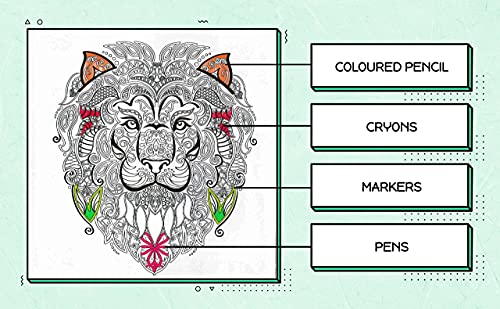Styloo Adult Colouring Books, Set of 3 Books, 180 Designs – Animal, Floral, and Pattern Illustrations – Mindfulness and Relaxing Drawing Pad - Series 2