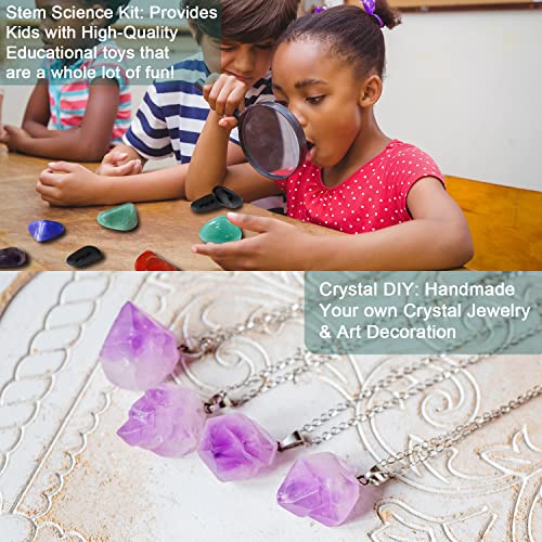 Professional Rock Tumbler Kit, Hobby Rocks Polisher for Kids and Adults, STEM Science Kit, Upgraded 9-Day Timer & 3-Speed Motor, Include Rough Gemstones, 4 Polishing Grits