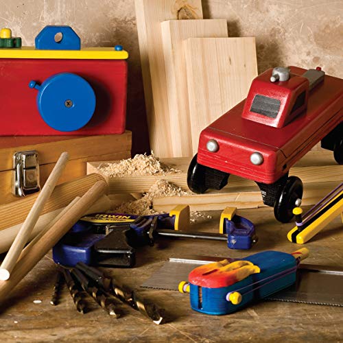 Zany Wooden Toys that Whiz, Spin, Pop, and Fly: 28 Projects You Can Build From The Toy Inventor's Workshop (Fox Chapel Publishing) Family-Friendly Projects that Kids and Parents Can Make Together