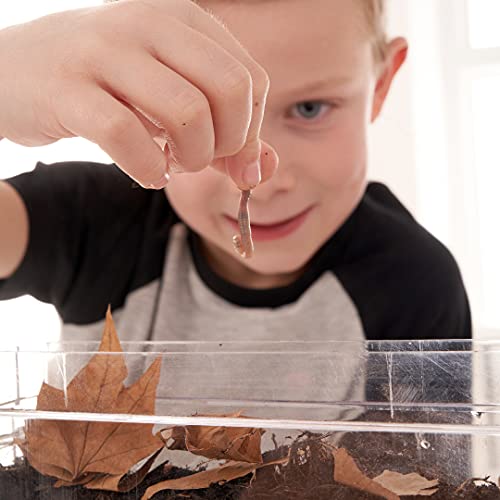 My Living World LW102 Interplay Worm World, Mixed