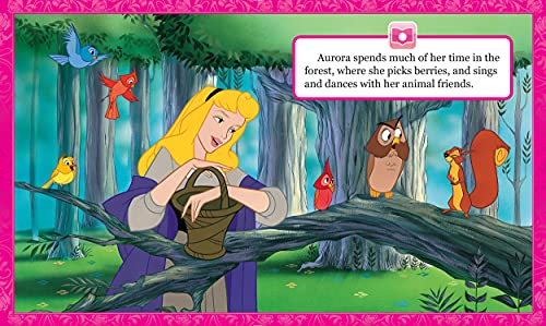Disney Princess Cinderella, Belle, Ariel, and More!- Me Reader Electronic Reader and 8 Sound Book Library - PI Kids