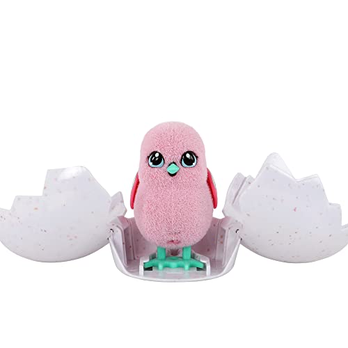 Little Live Pets| Surprise Chick| Cute Interactive Collectible Toy Chick Chirps & Taps| Hatches Out Of Egg & Hops About