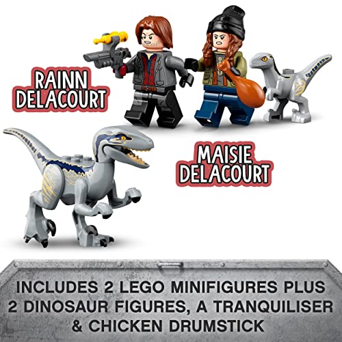 LEGO 76946 Jurassic World Blue and Beta Velociraptor Capture with Truck and 2 Dinosaur Toys for Kids, 2022 Dominion Movie Inspired Set, Multicolor