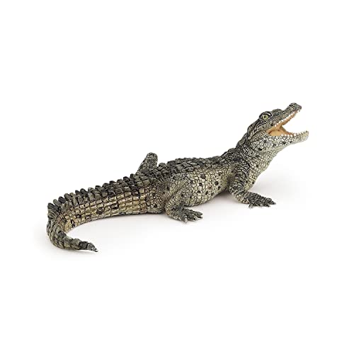 Papo WILD ANIMAL KINGDOM Figurine, 50137 Baby Crocodile, Multicolour