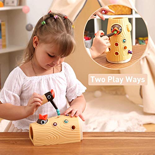 TOP BRIGHT Toddler Magnetic Bird Toys for 2 3 Year Olds Boy Girl Gifts, Childrens Learning Games for Two Year Old Birthday Present, Montessori Sensory Toys for Kids Age 2 3 4