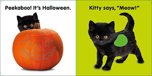 Baby Touch and Feel Halloween