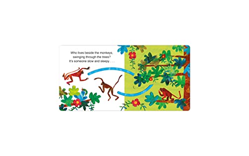 The Very Hungry Caterpillar's Jungle Hide and Seek: A Finger Trail Lift-the-Flap Book