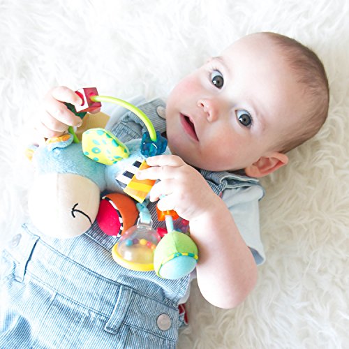 Playgro Activity Rattle Clip Clop, Learning Toy, From 3 Months, BPA Playgro Toy Box Horse Clip Clop, Blue/Multicoloured, 40016