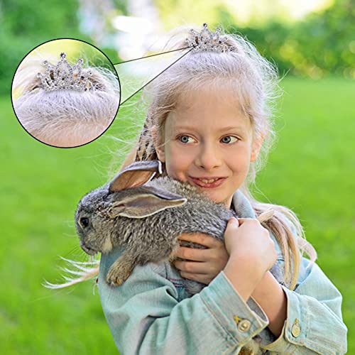 2 Pcs Crown Rhinestone Tiara, Hair Comb Crystal Princess Hair Clip, Mini Fashion Head Accessory for Kids Children Birthday Party Hair Decorations Supplies