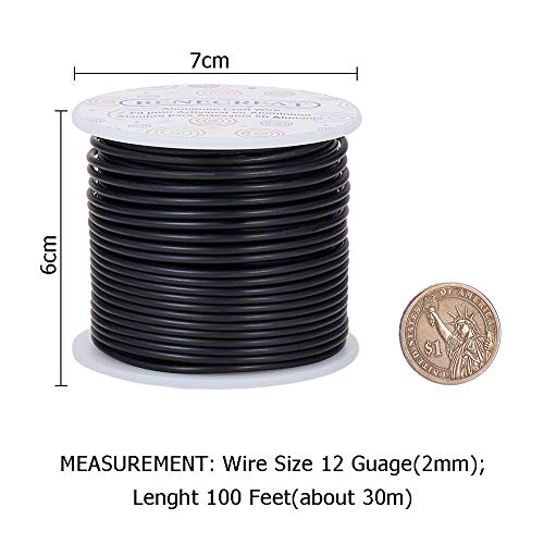 BENECREAT 12 Gauge (2mm) Aluminum Wire 30m (100FT) Matte Effect Jewelry Craft Making Beading Floral Colored Aluminum Craft Wire - Black