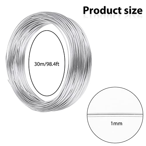Prasacco 98.4ft/ 30m Aluminum Craft Wire, Craft Silver Wire Thick Bendable Metal Crafting Wire Modelling Wire for Sculpting, Modelling, Skeleton, Floral Making, Jewelry Making (Diameter-1.0mm)