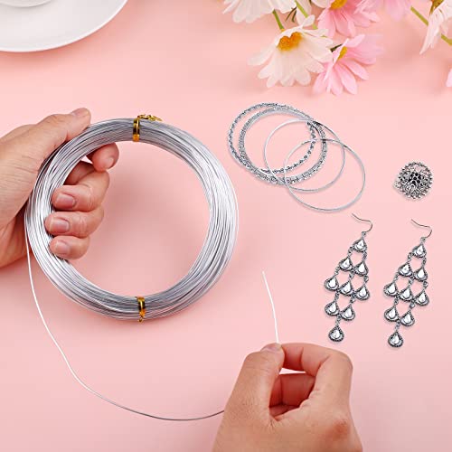 Prasacco 98.4ft/ 30m Aluminum Craft Wire, Craft Silver Wire Thick Bendable Metal Crafting Wire Modelling Wire for Sculpting, Modelling, Skeleton, Floral Making, Jewelry Making (Diameter-1.0mm)