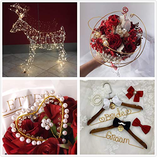 BENECREAT 12 Gauge(2mm) Silver Aluminum Wire 180 Feet(55m) Bendable Metal Sculpting Thick Wire for Bonsai Trees, Floral, Home Decors and Other Arts Crafts Making