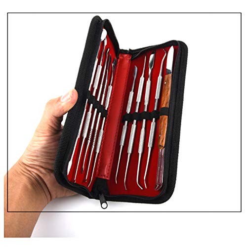 Wax Carvers Tools, 10 Pcs Double-Ended Stainless Steel Wax Clay Sculpting Carving DIY Tools Kit, Spatula Chisel Carver Set and Carrying Case for Sculpting, Detailing, Pottery Carving
