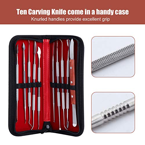 Coolty 10PCS Wax Carvers Tools, Double-Ended Stainless Steel Wax Clay Sculpting Carving DIY Tools Kit, Spatula Chisel Carver Set and Carrying Case for Sculpting, Detailing, Pottery Carving