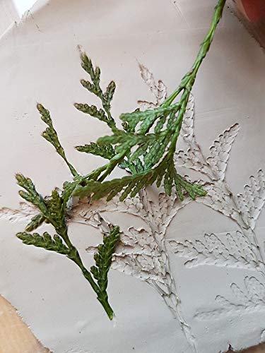 Pebeo Gedeo Air Drying Clay, Natural,White,1.5 Kg