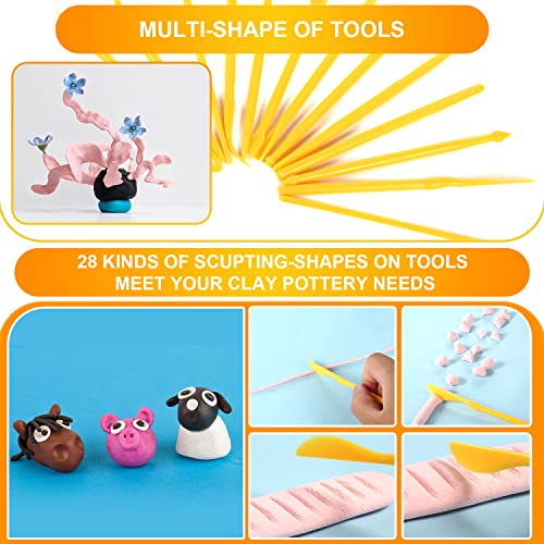 14pcs Plastic Clay Tools for Kids, Double-Ended Polymer Clay Tool Set Modeling Clay Sculpting Tools for Pottery Sculpture Ceramics Artwork Crafts