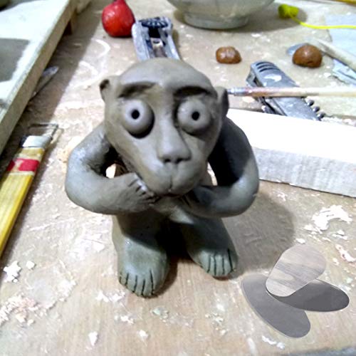 12 Pack Sculpture Pottery Molding Scraper Cutter with Clay Ceramic Needle and Feather Wire Texture Detail Tools Crafts for Sculpting Texturing Modeling