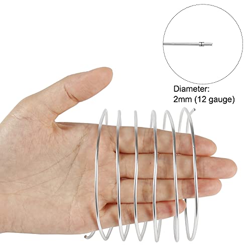 12 Gauge Aluminum Craft Wire, 100 Feet 2mm Thick Bendable Metal Crafting Wire for Sculpting, Modelling, Bonsai Training, Skeleton, Floral Making, Jewelry Making, Wire Weaving and Wrapping (Silver)