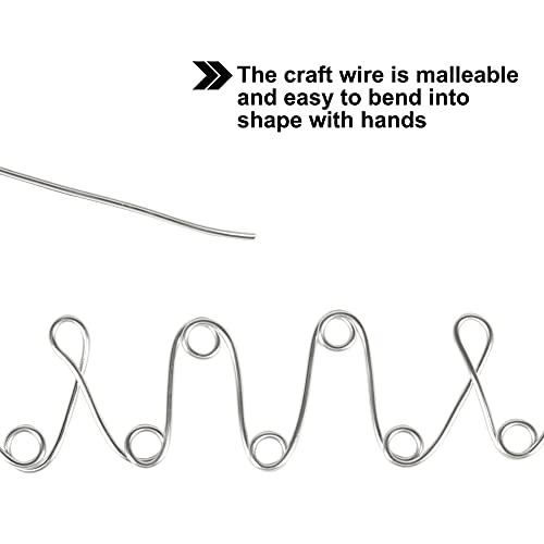 12 Gauge Aluminum Craft Wire, 100 Feet 2mm Thick Bendable Metal Crafting Wire for Sculpting, Modelling, Bonsai Training, Skeleton, Floral Making, Jewelry Making, Wire Weaving and Wrapping (Silver)