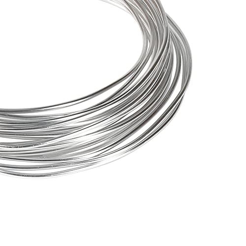 12 Gauge Aluminum Craft Wire, 100 Feet 2mm Thick Bendable Metal Crafting Wire for Sculpting, Modelling, Bonsai Training, Skeleton, Floral Making, Jewelry Making, Wire Weaving and Wrapping (Silver)