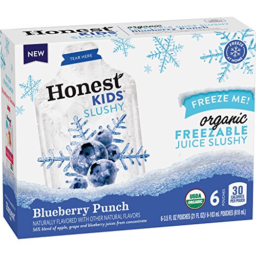 Honest Kids Certified Organic Fruit Quencher, 6.75 Ounce Pouches (Pack of 32)