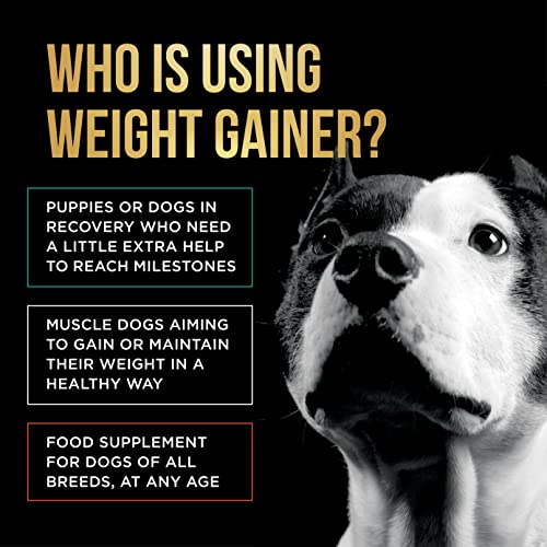 PET CARE Sciences Approx 90 Servings of Dog Weight Gainer - Weight Gain Supplements for Dogs - Canine and Dog Muscle Builder - Dog Protein Powder - High Calorie Dog Food Supplement
