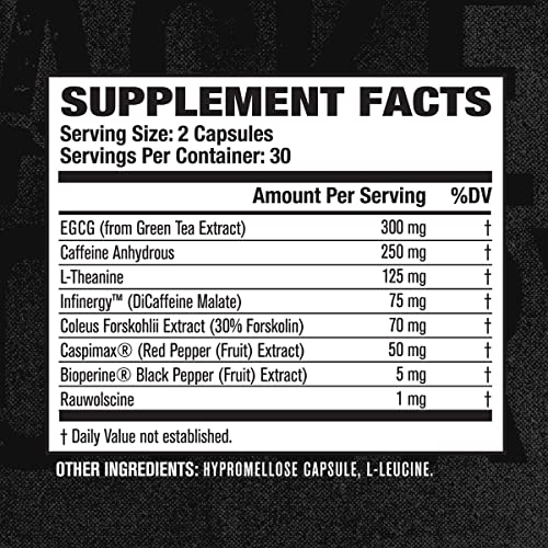 Thermo XT Thermogenic Fat Burner - Cutting Weight Loss Supplement w/ EGCG, Capsimax, Forskolin, & More - Appetite Suppressant & Energy Booster for Men & Women - 60 Natural Veggie Diet Pills