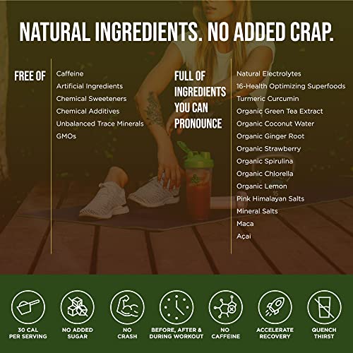 Organic Muscle Post Workout Organic Electrolyte Powder - Natural Energy Booster with 16 Organic Superfoods, Antioxidants Dehydration, Fatigue, Muscle Recovery Intra Workout Support & Replenisher