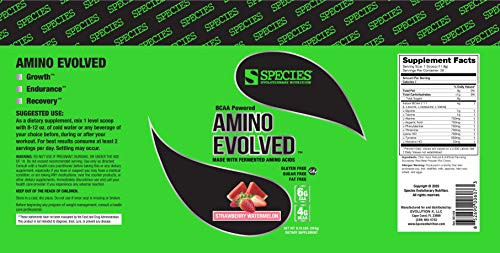 Species Nutrition Amino Evolved EAA & BCAA Powder, Fermented Amino Acids, Branched Chain Amino Acid Muscle Recovery & Endurance, Pre & Post Workout Supplement (Strawberry Watermelon, 30 Servings)