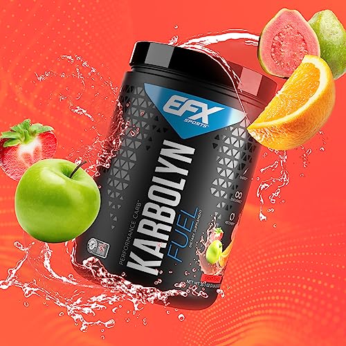 EFX Sports Karbolyn Fuel | Fast-Absorbing Carbohydrate Powder | Carb Load, Sustained Energy, Quick Recovery | Stimulant Free | 18 Servings (Fruit Punch)