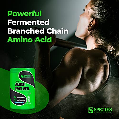Species Nutrition Amino Evolved, Fermented EAA and BCAA Supplement 30 Servings