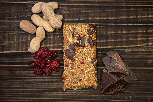 Tahoe Trail Bar, Plant-Based Natural Energy Bar (2.22 Ounce Protein Bar, 12 Count) High Protein Non-GMO, Gluten-Free, Vegan Healthy Snacks - Peanut Butter Chocolate
