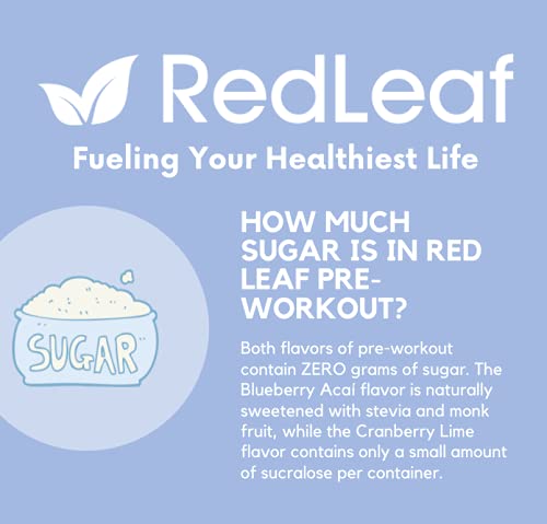 Red Leaf Pre-Workout Energizer Powder, BCAA's, Beta-Alanine, Amino Acids and Green Tea for Immune Support and Preworkout Energy - Natural Blueberry Acaí Flavor, 30 Servings