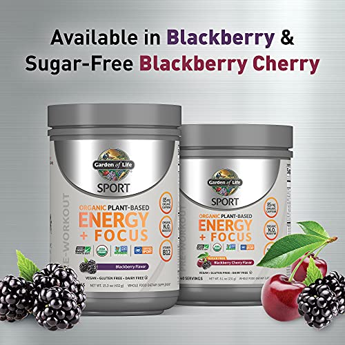 Garden of Life Sport Organic Plant-Based Energy + Focus Vegan Pre Workout Powder Packets, Sugar Free BlackBerry Cherry Clean Preworkout with 85mg Caffeine Natural NO Booster B12 Gluten Free 12ct Tray