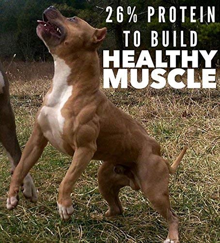 MVP K9 Formula Mass Weight Gainer for Dogs - Helps Promote Healthy Weight Gain, Size and Muscle in Dogs - Great for Skinny, Underweight, Picky Eaters. All Breed Formula, Made in USA (45 Servings)