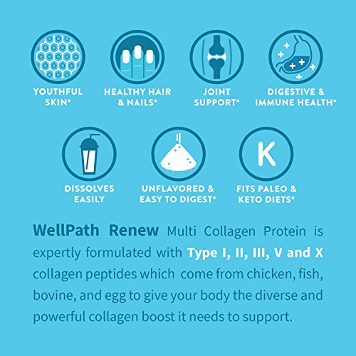 WellPath Renew [Multi Collagen Protein Powder] - 5 Types of Collagen - Hydrolyzed Grass-Fed Bovine, Marine, & Chicken Collagen Peptides - Type I, II, III, V, and X - Keto Friendly Supplement, 11 oz