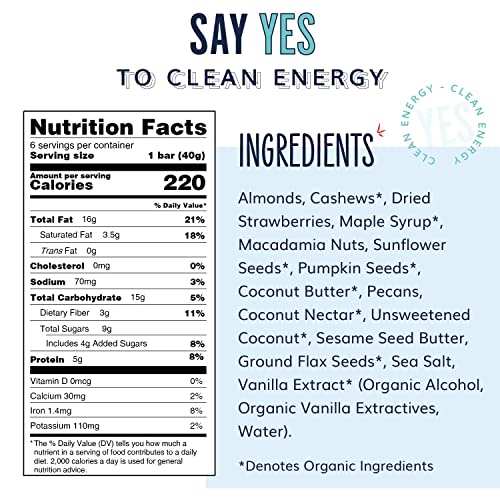 The YES Bar – Strawberry Coconut – Plant Based Protein, Decadent Snack Bar – Vegan, Paleo, Gluten Free, Dairy Free, Low Sugar, Healthy Snack, Breakfast, Low Carb, Keto Friendly (Pack of 6)