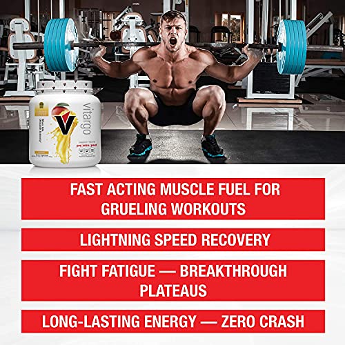 Vitargo Carbohydrate Powder | Feed Muscle Glycogen 2X Faster | 1 LB Mango Pre Workout & Post Workout | Carb Supplement for Recovery, Endurance, Gain Muscle Mass